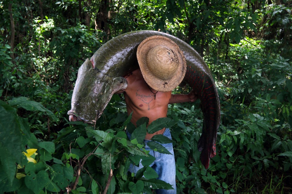 Walter Roman Ocaña Guerrero – Amazonas